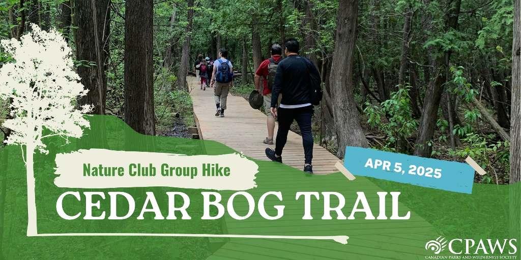 Group Hike on Cedar Bog Trail