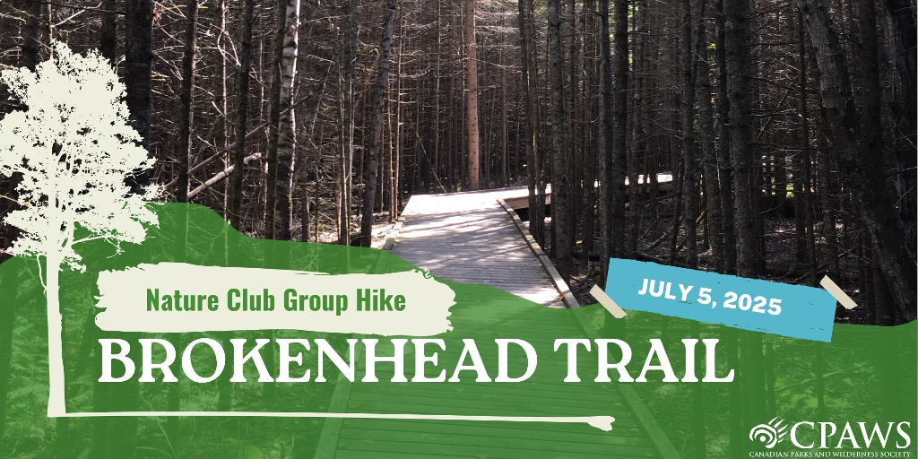 Group Hike on Brokenhead Wetland Trail