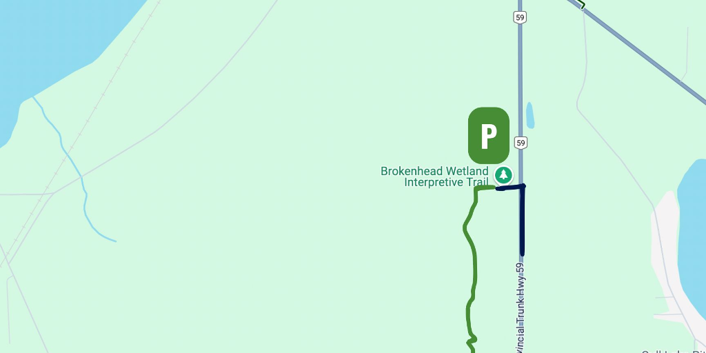 Group Hike on Brokenhead Wetland Trail