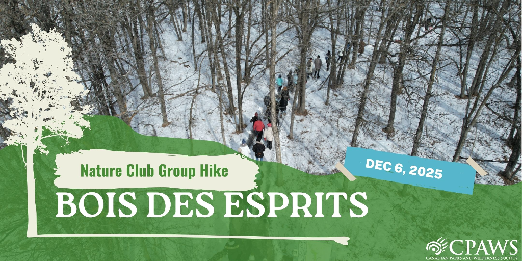 Group Hike on Bois des Esprits