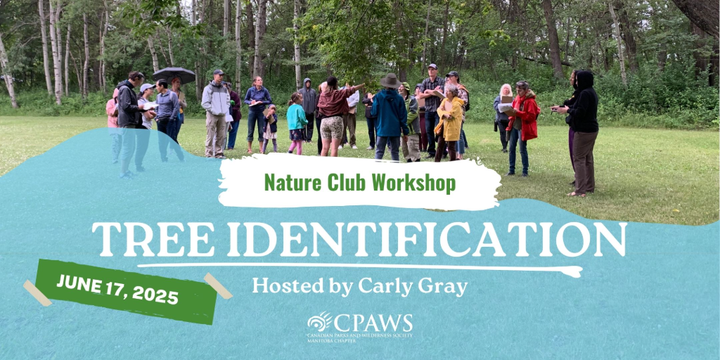 Workshop: Tree Identification