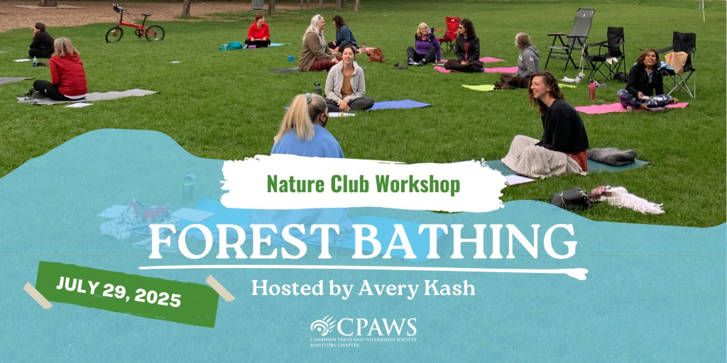 Workshop: Forest Bathing