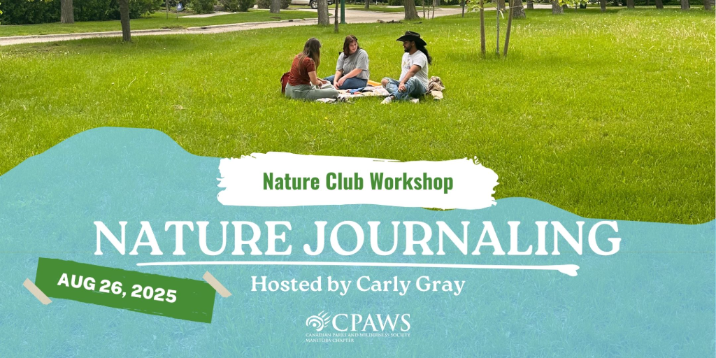 Workshop: Nature Journaling