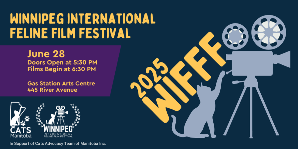 Winnipeg International Feline Film Festival