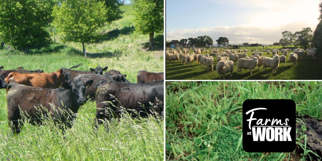***Postponed***Making Pasture Work for Farmers with E.Ann Clark