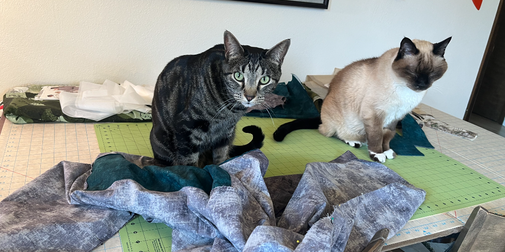 LITTLETON MONDAY Beginning Sewing Series September
