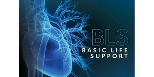 BLS PROVIDER MANUAL