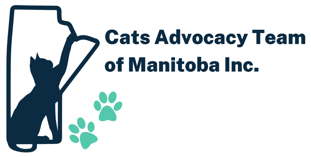 Winnipeg International Feline Film Festival