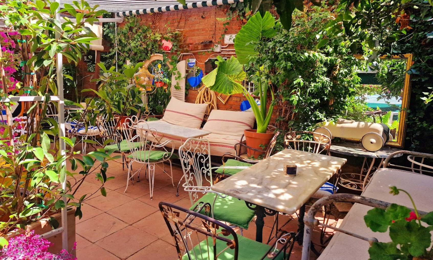 Photo of Alice Garden
