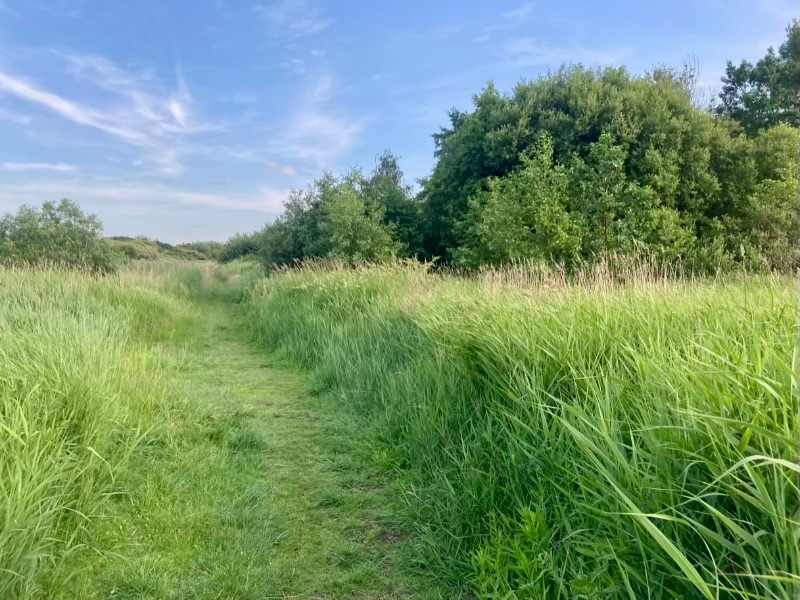 Image of Rimrose Valley Country Park