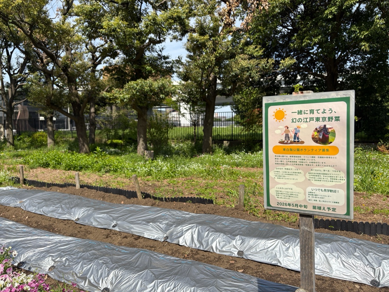 掲示板画像