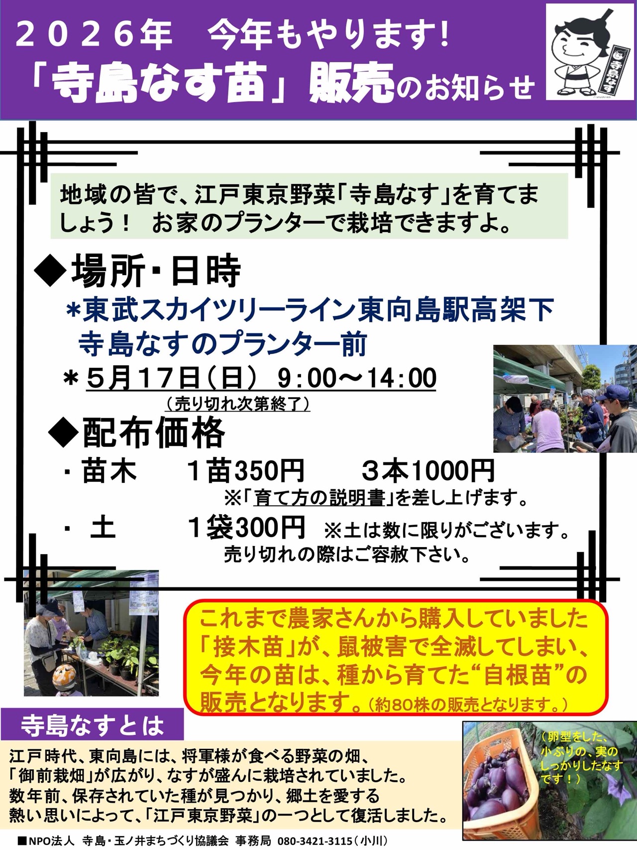 掲示板画像