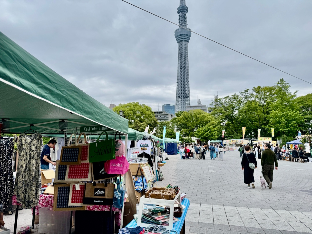 掲示板画像
