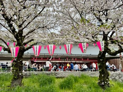 すみだ開花知らせ隊のサムネイル画像