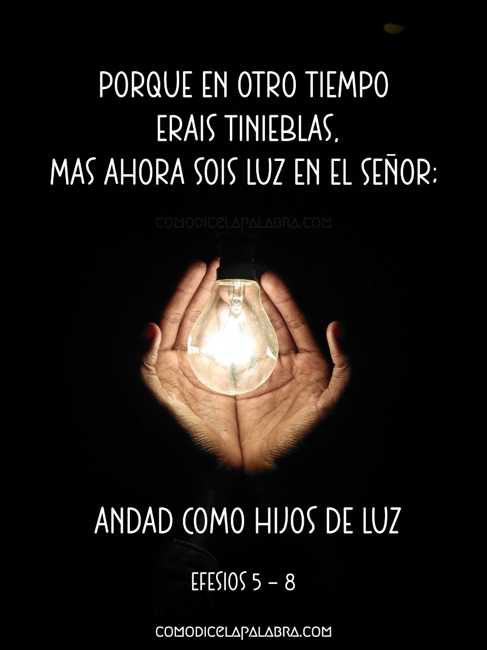 Porque en otro tiempo erais tinieblas, mas ahora sois luz en el Señor; andad como hijos de luz