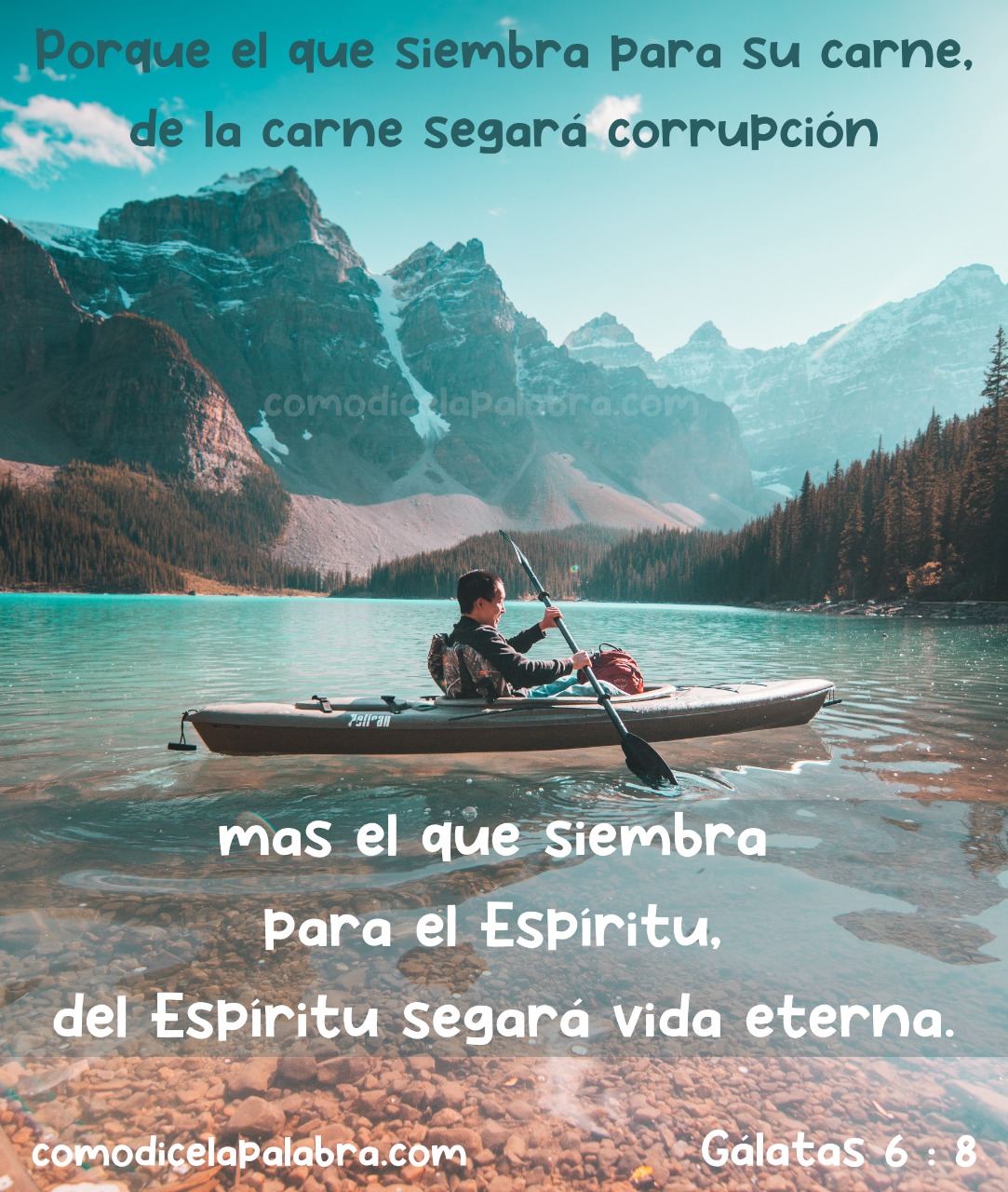 Imagen Porque el que siembra para su carne, de la carne segará corrupción; mas el que siembra para el Espíritu, del Espíritu segará vida eterna.