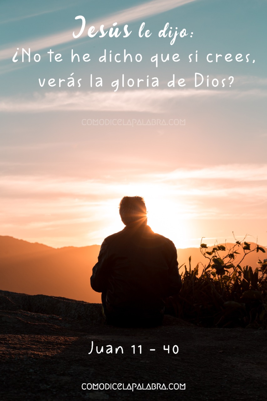 Jesús le dijo: ¿No te he dicho que si crees, verás la gloria de Dios?