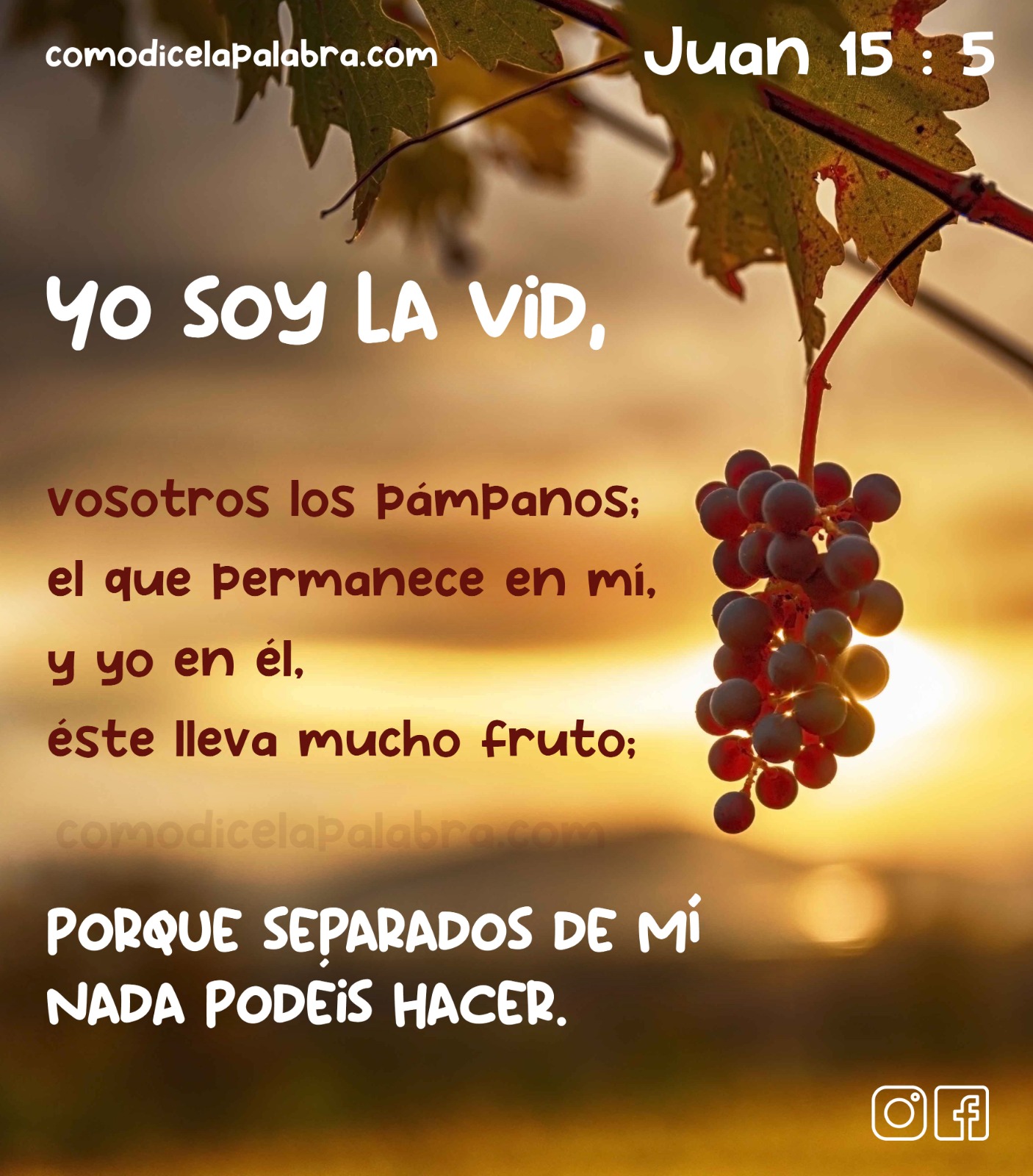 Imagen Yo soy la vid, vosotros los pámpanos; el que permanece en mí, y yo en él, éste lleva mucho fruto; porque separados de mí nada podéis hacer.