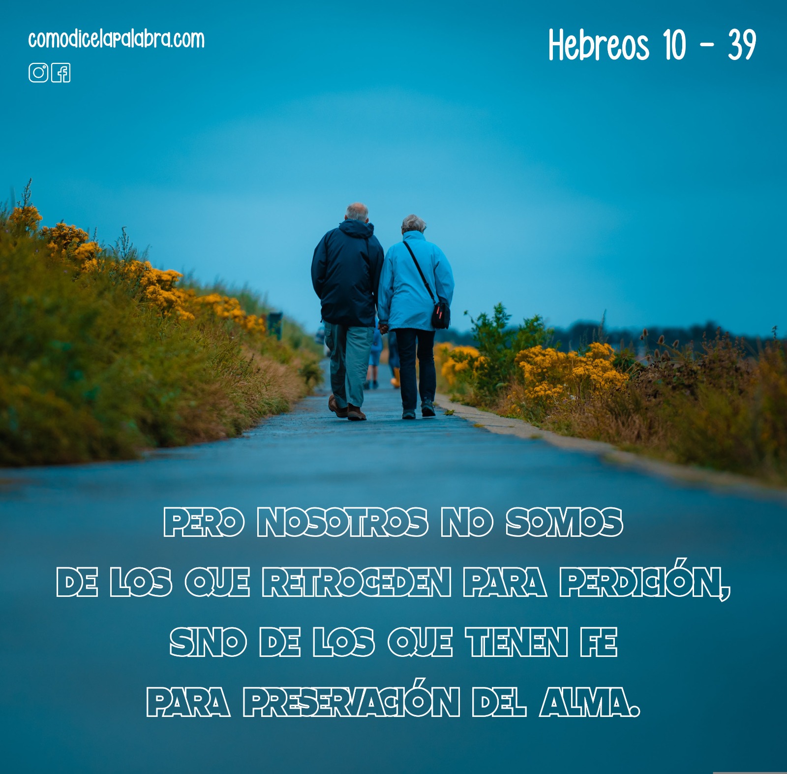 Imagen Pero nosotros no somos de los que retroceden para perdición, sino de los que tienen fe para preservación del alma.