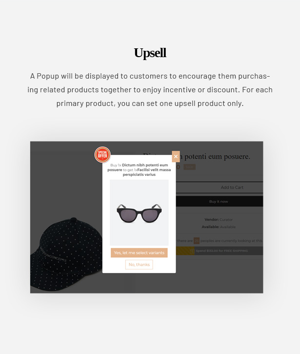 Ap Curator – Smart and Fashionable eCommerce Shopify Theme