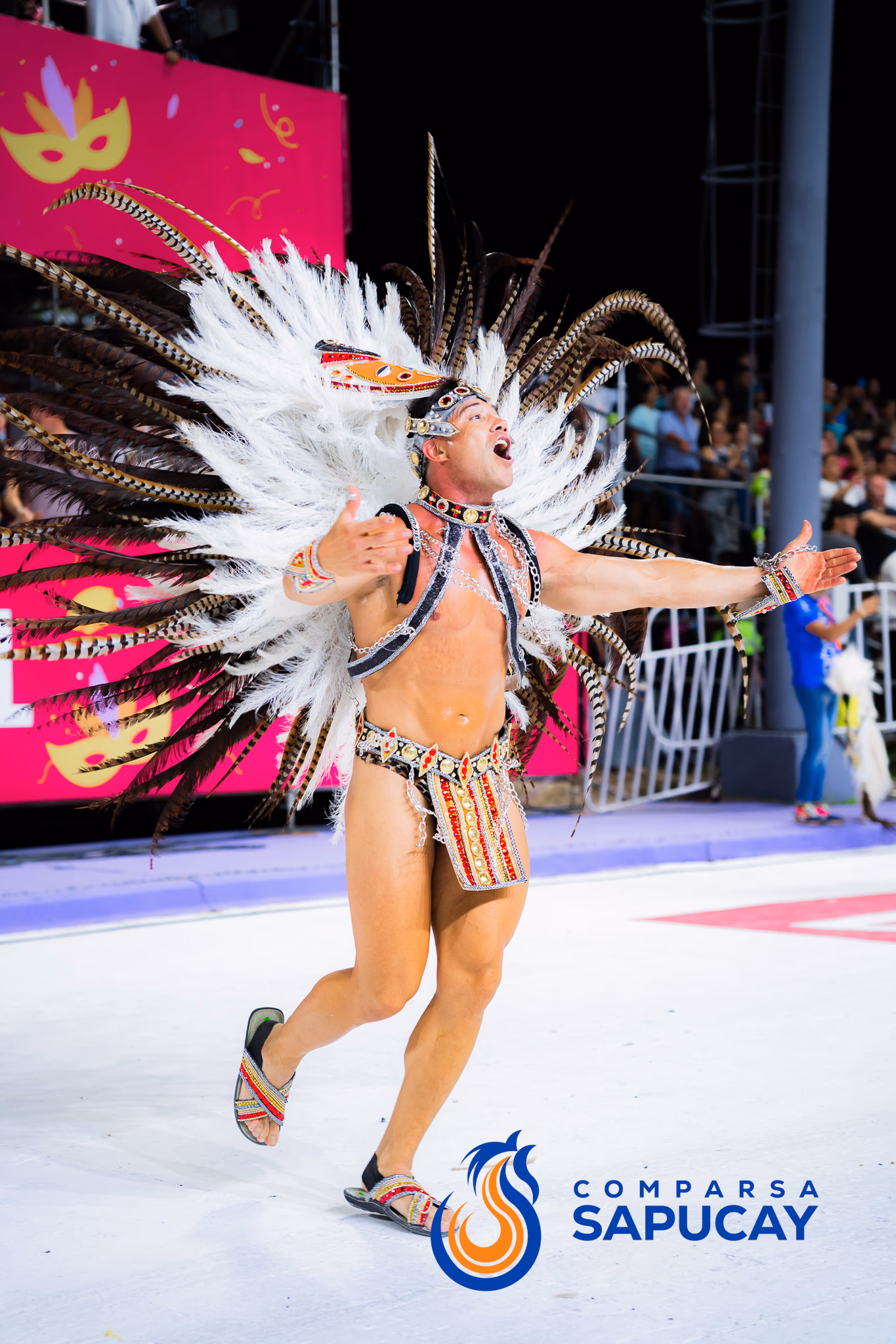 Galería de fotos del show del Carnaval 2025