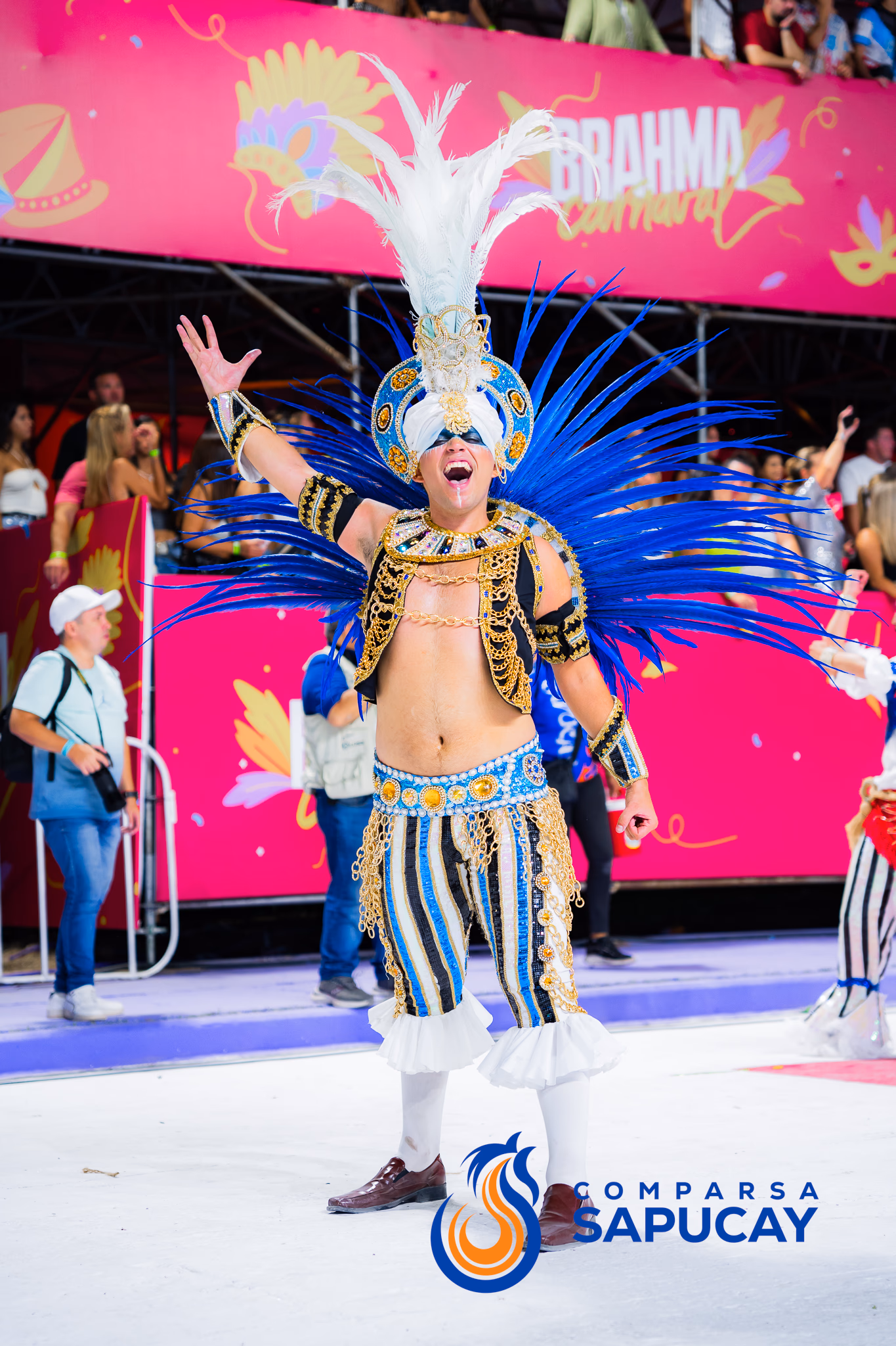 Galería de fotos del show del Carnaval 2025