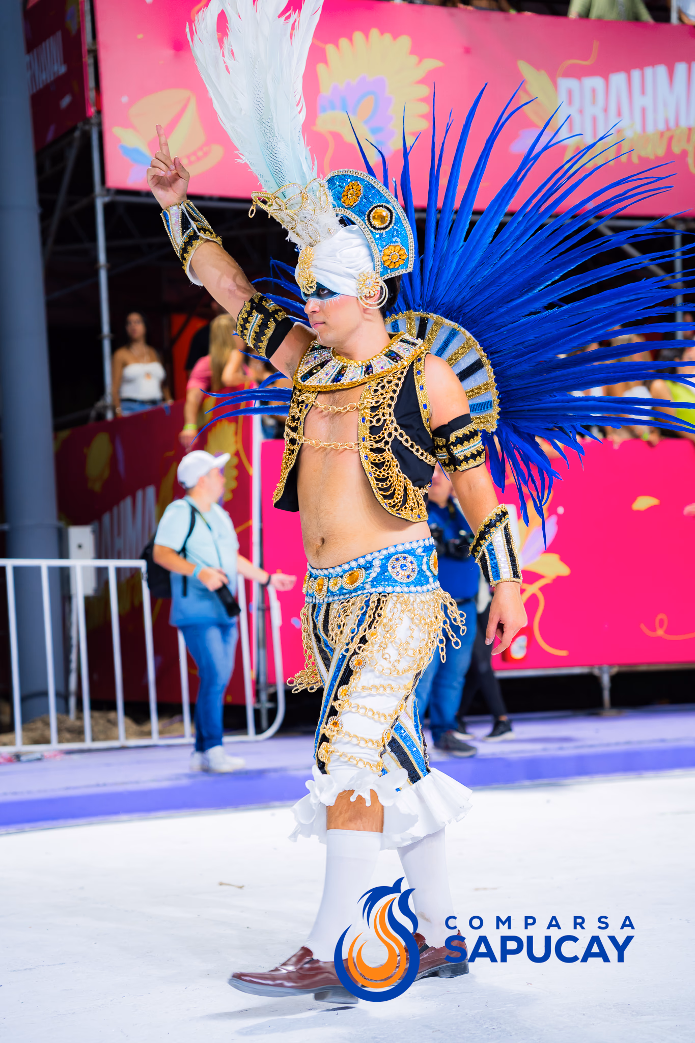 Galería de fotos del show del Carnaval 2025