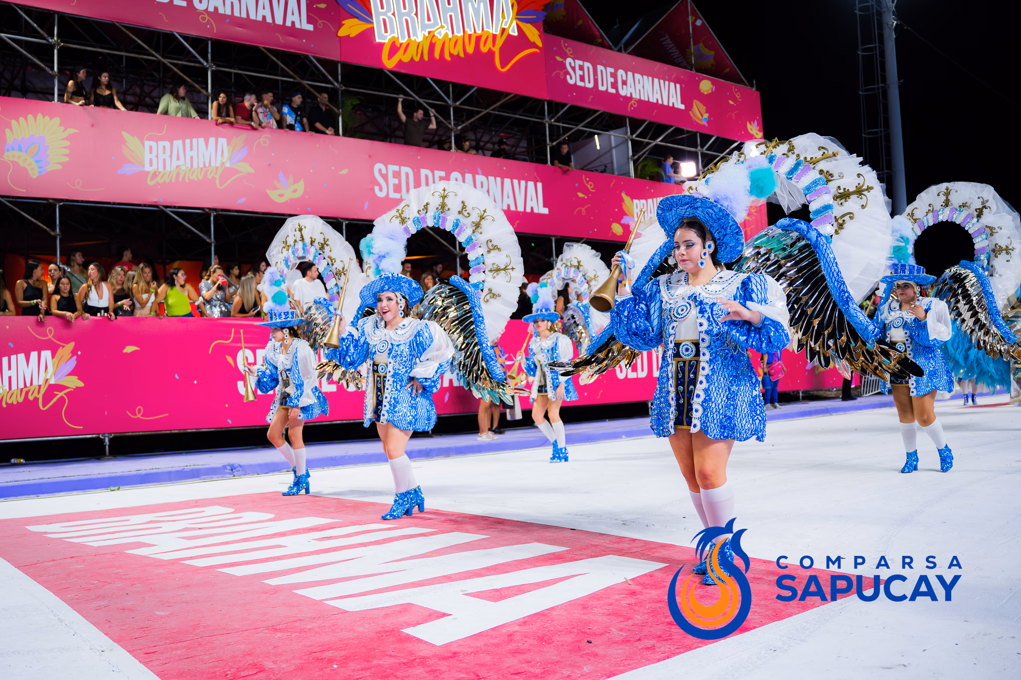 Galería de fotos del show del Carnaval 2025
