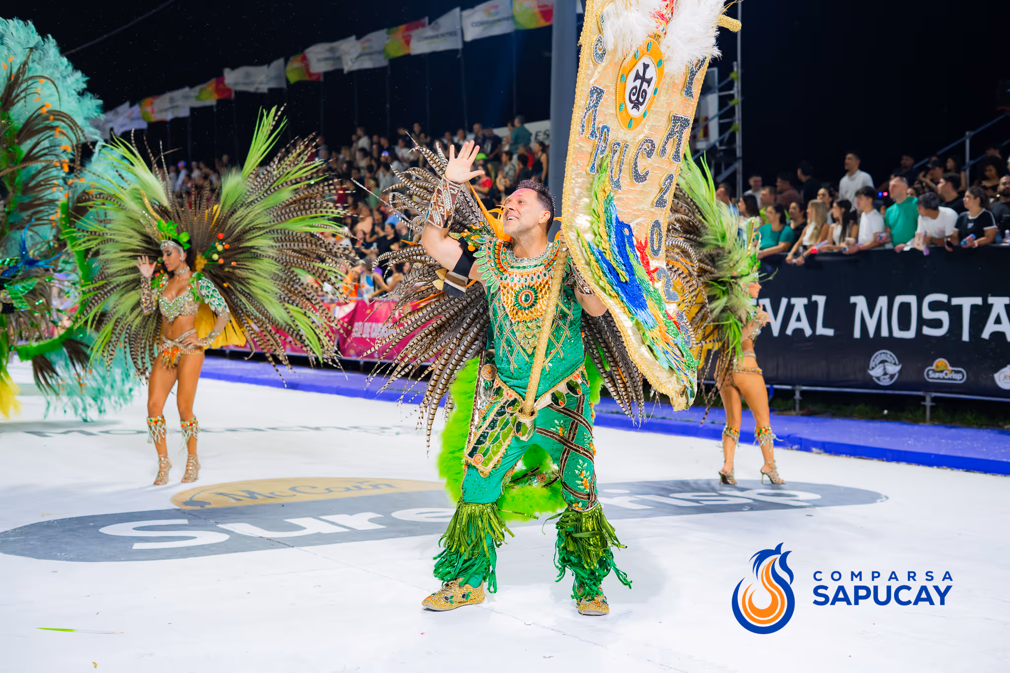 Galería de fotos del corso del Carnaval 2025