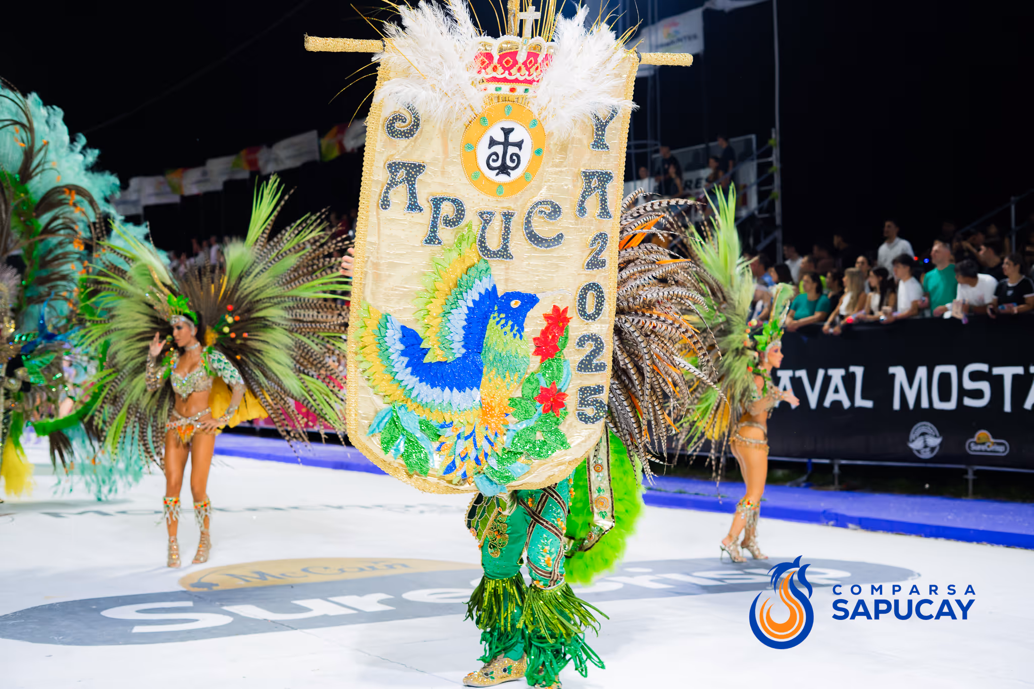 Galería de fotos del corso del Carnaval 2025