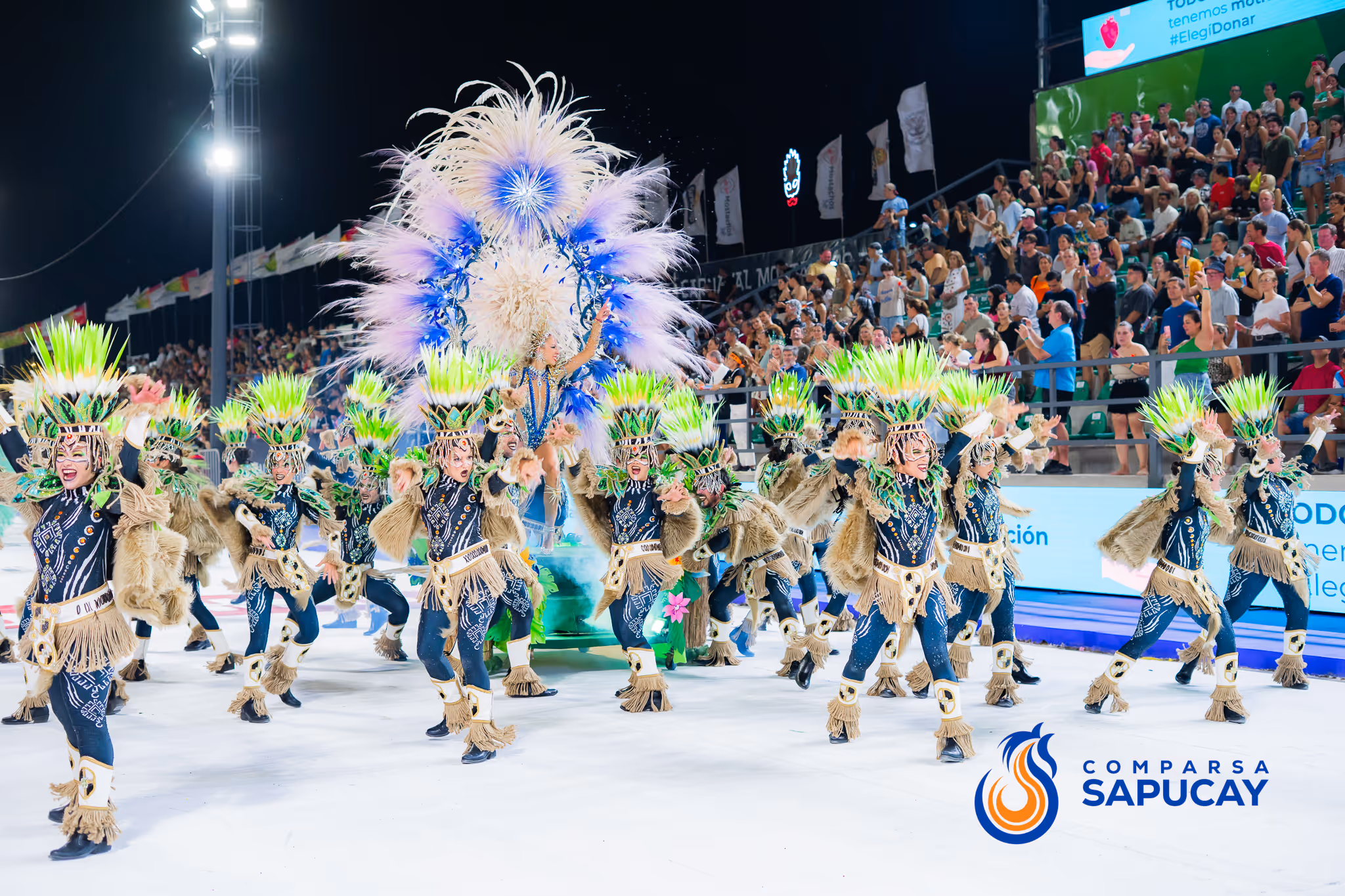 Galería de fotos del corso del Carnaval 2025