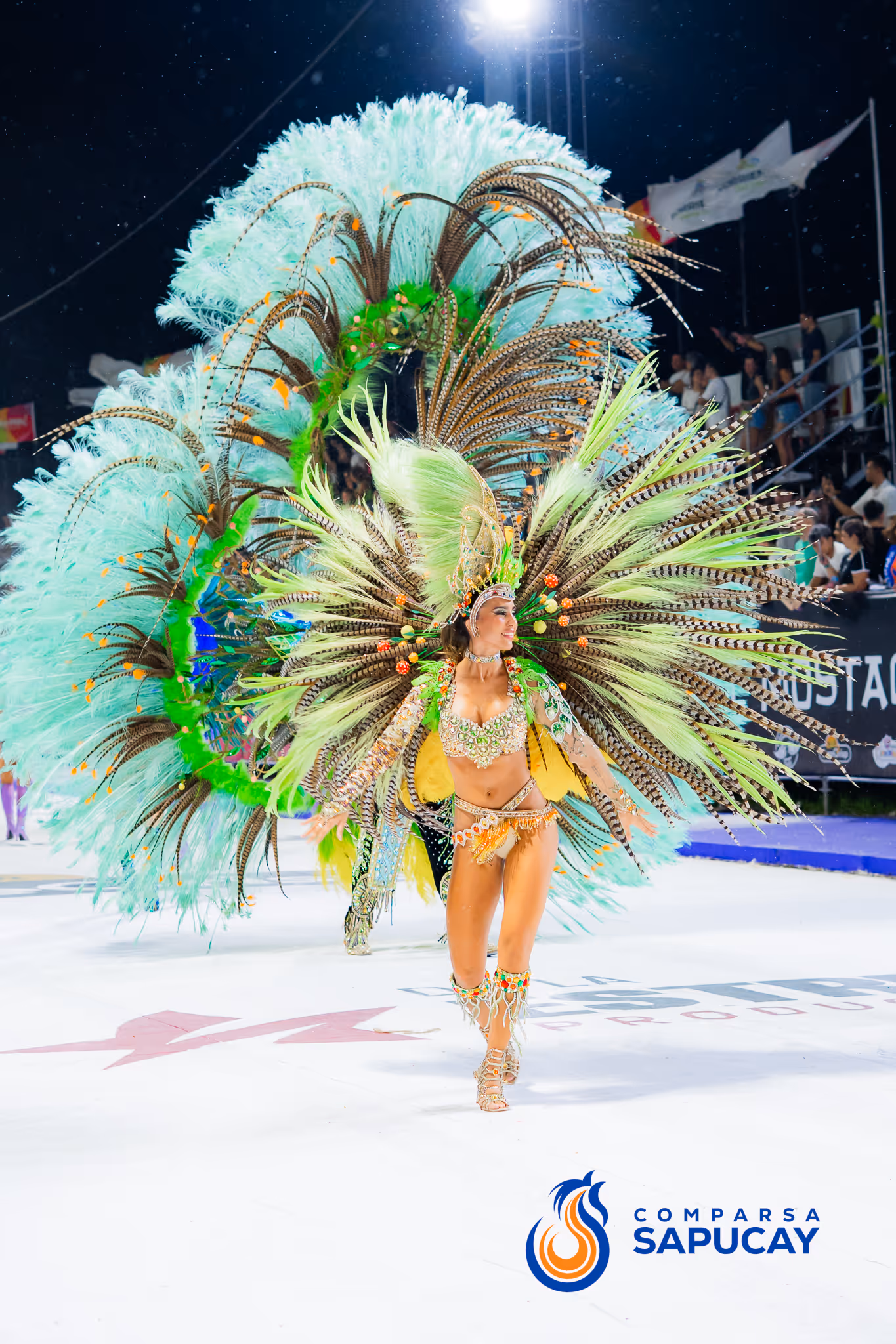 Galería de fotos del corso del Carnaval 2025