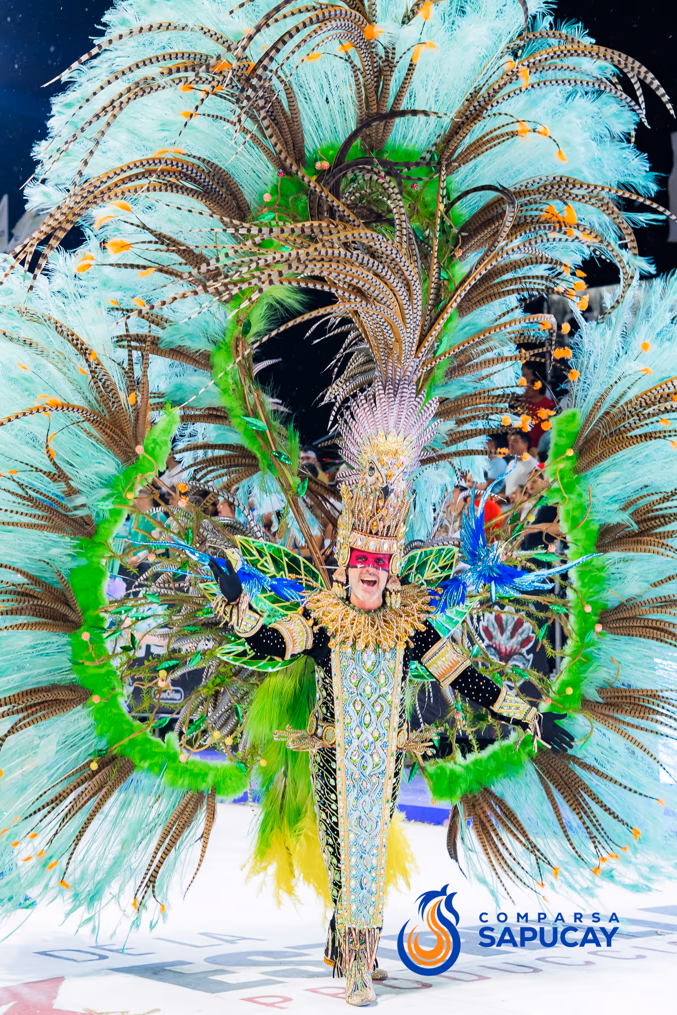 Galería de fotos del corso del Carnaval 2025
