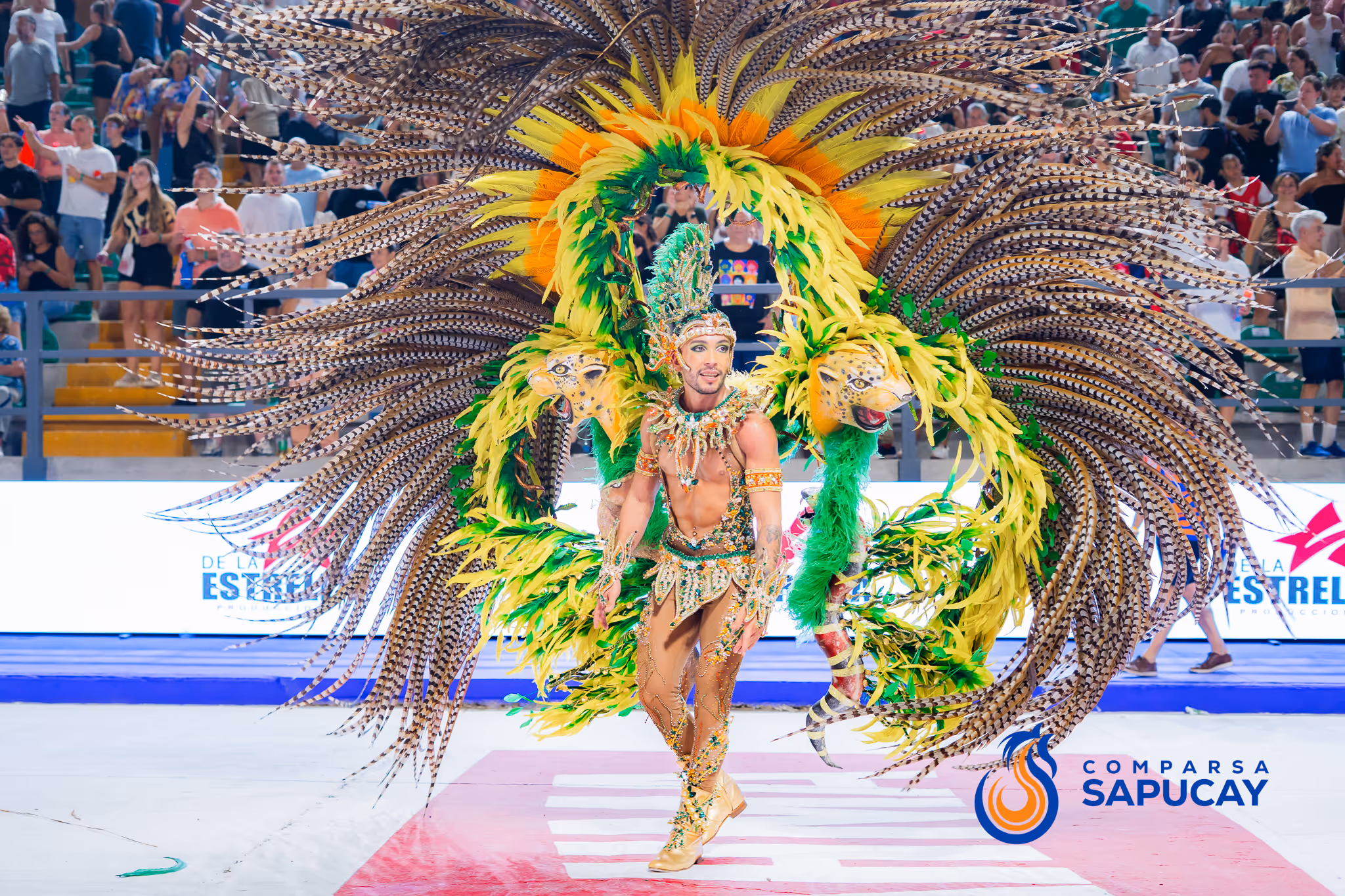 Galería de fotos del corso del Carnaval 2025