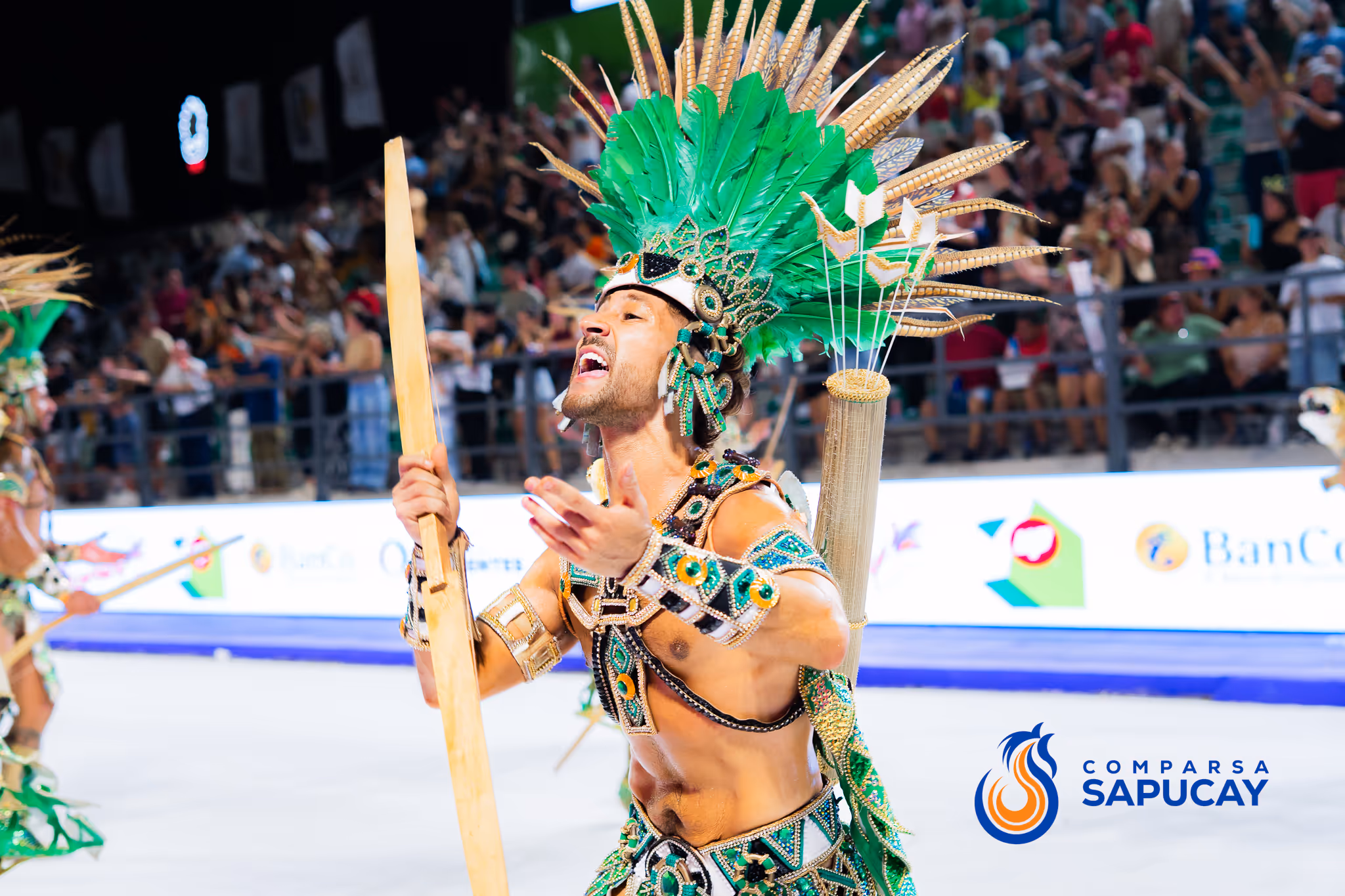 Galería de fotos del corso del Carnaval 2025