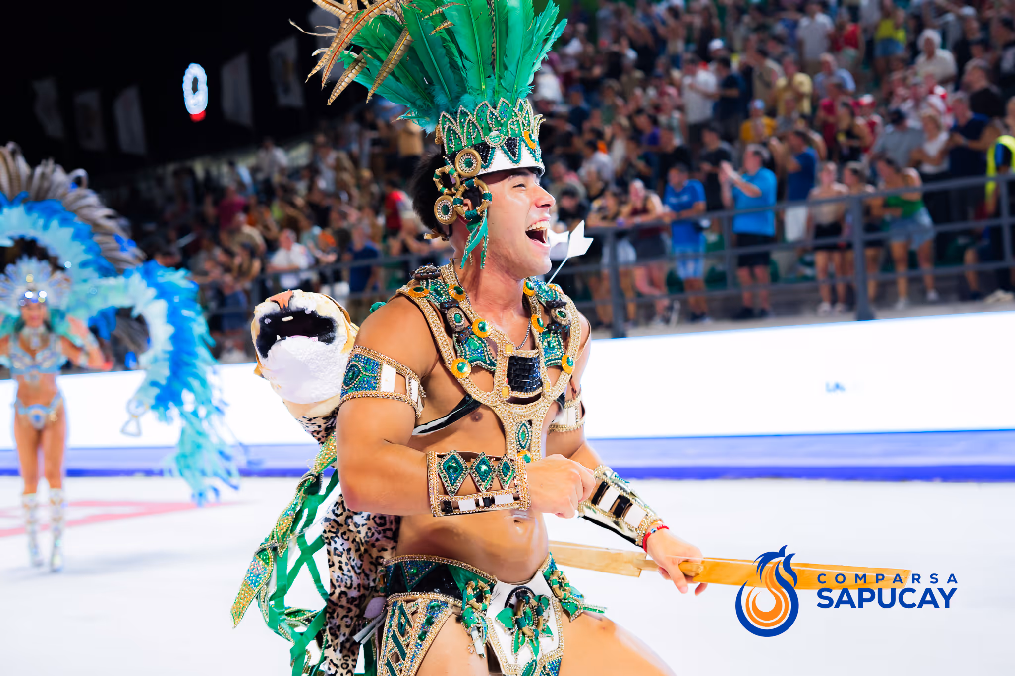 Galería de fotos del corso del Carnaval 2025