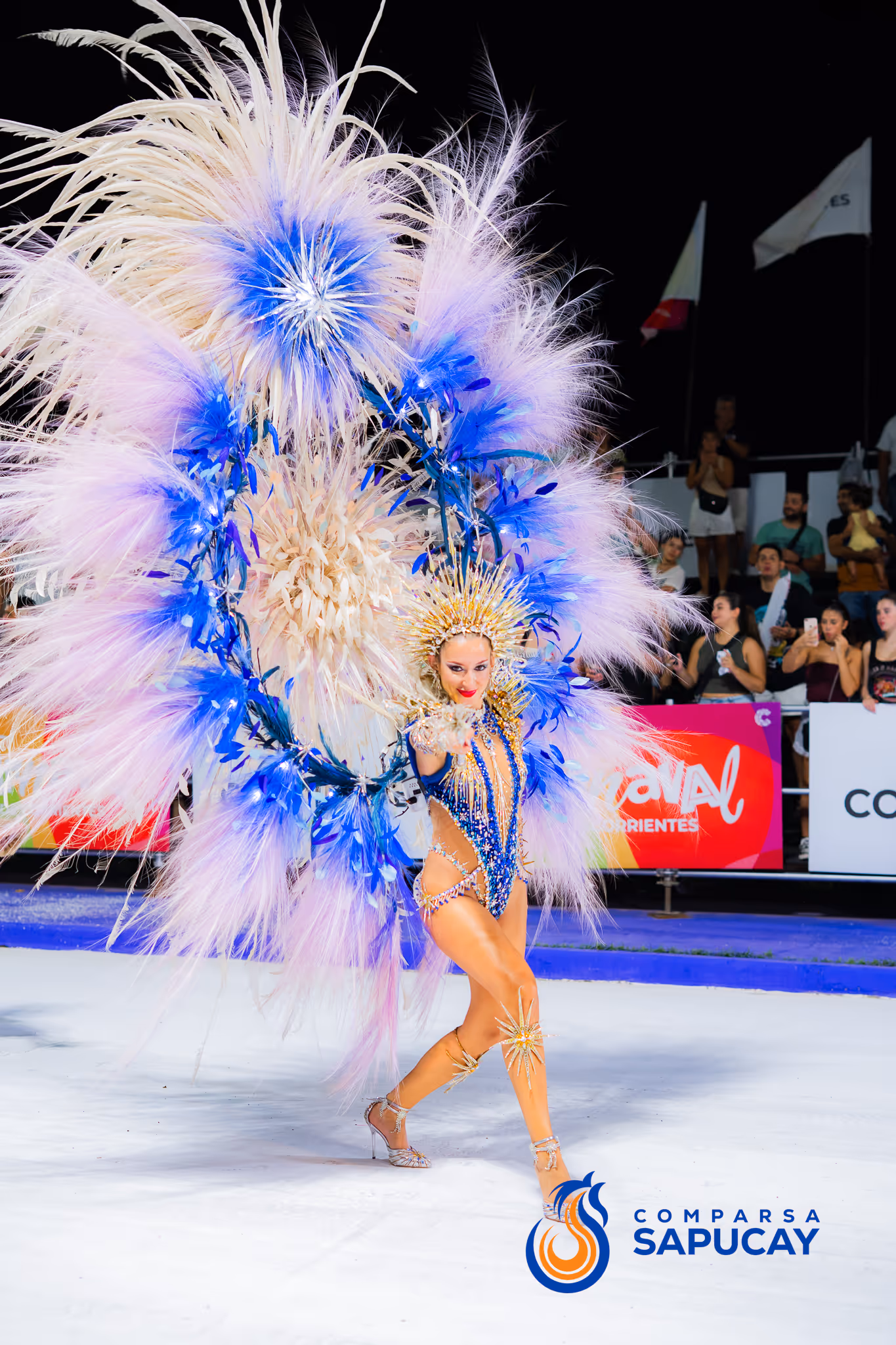 Galería de fotos del corso del Carnaval 2025