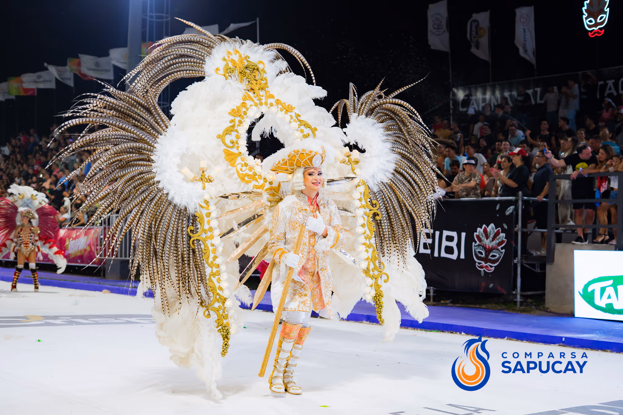 Galería de fotos del corso del Carnaval 2025