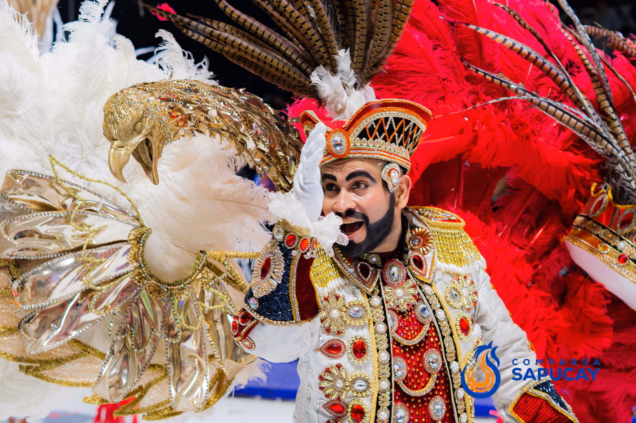 Galería de fotos del corso del Carnaval 2025