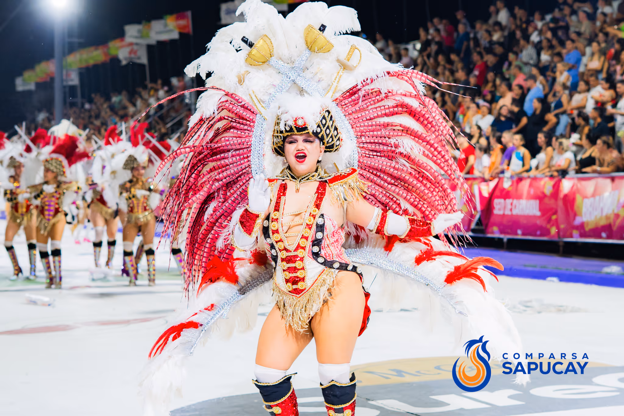 Galería de fotos del corso del Carnaval 2025