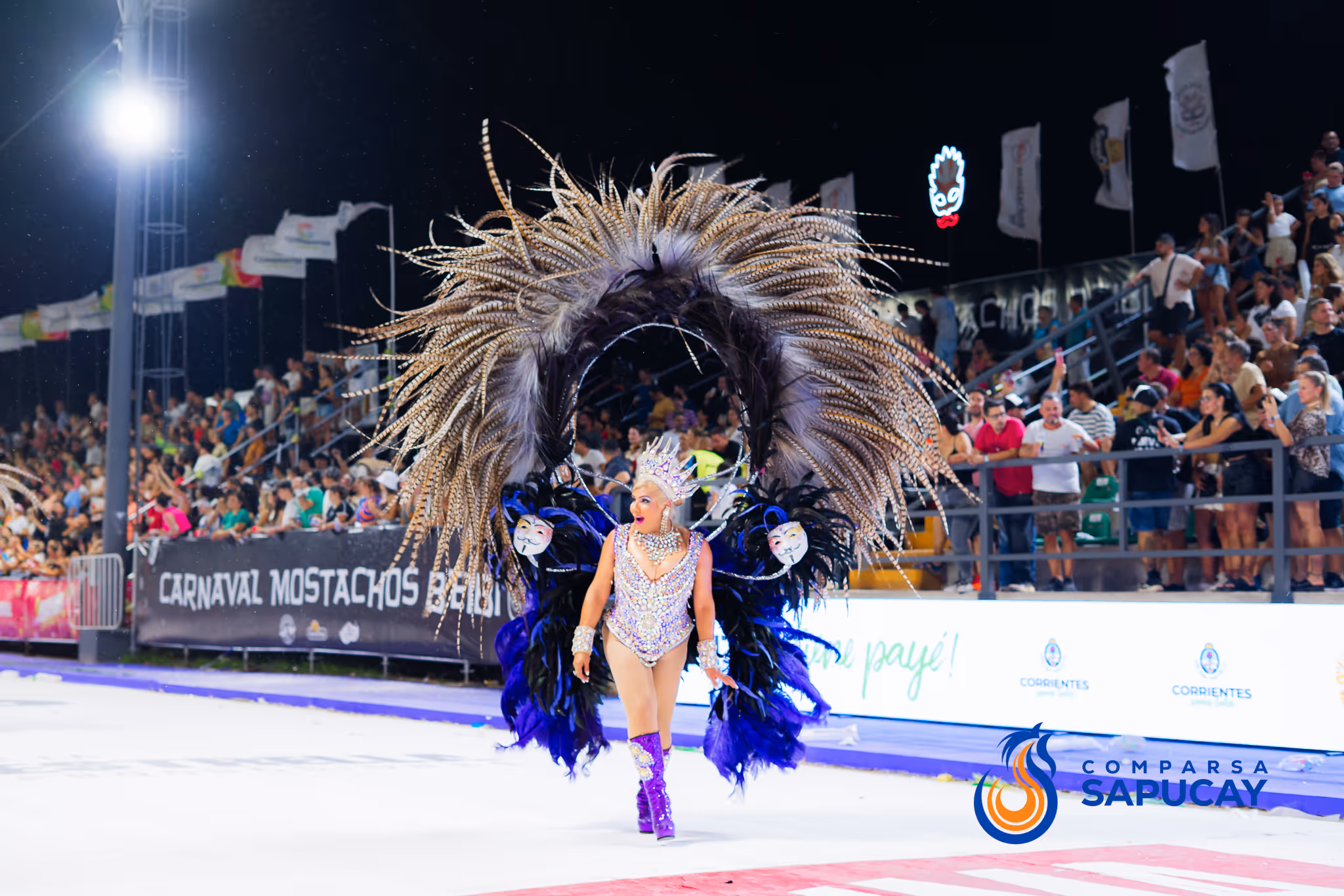 Galería de fotos del corso del Carnaval 2025