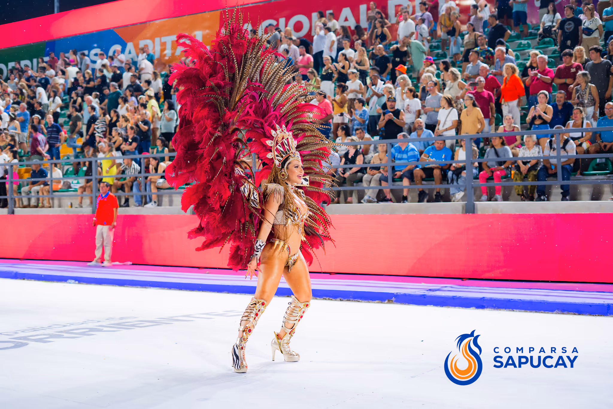 Galería de fotos del corso del Carnaval 2025