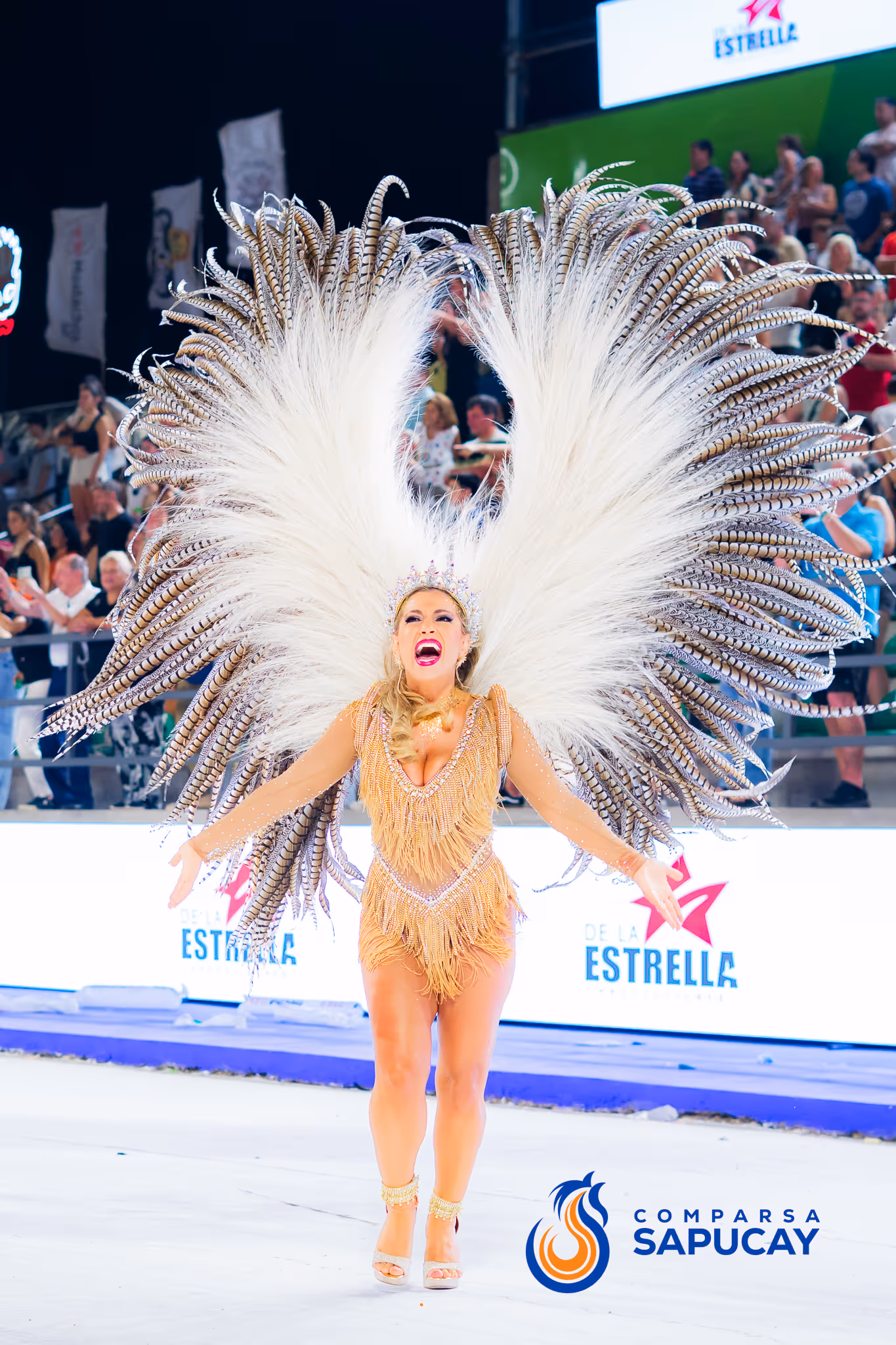 Galería de fotos del corso del Carnaval 2025