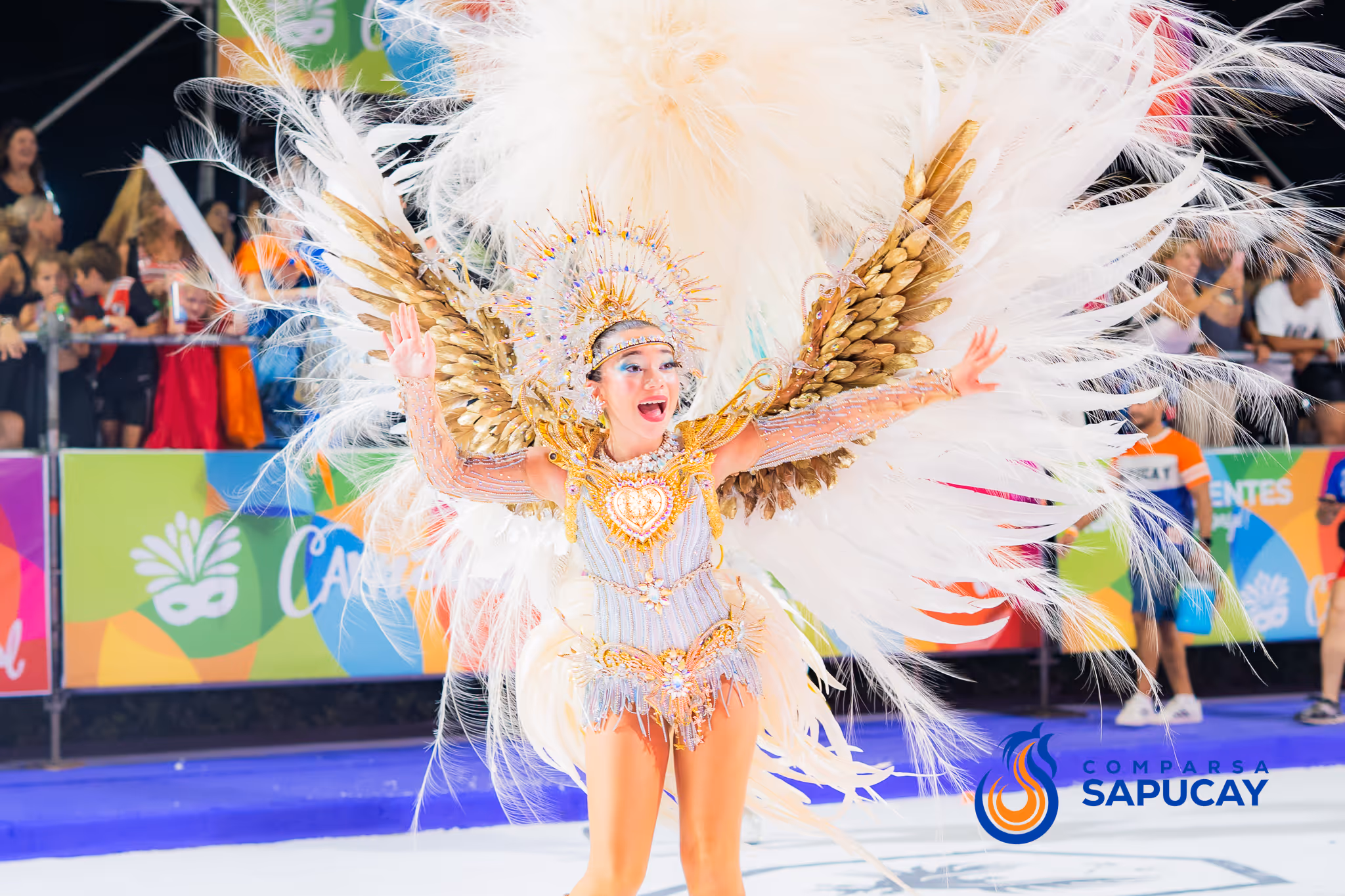 Galería de fotos del corso del Carnaval 2025