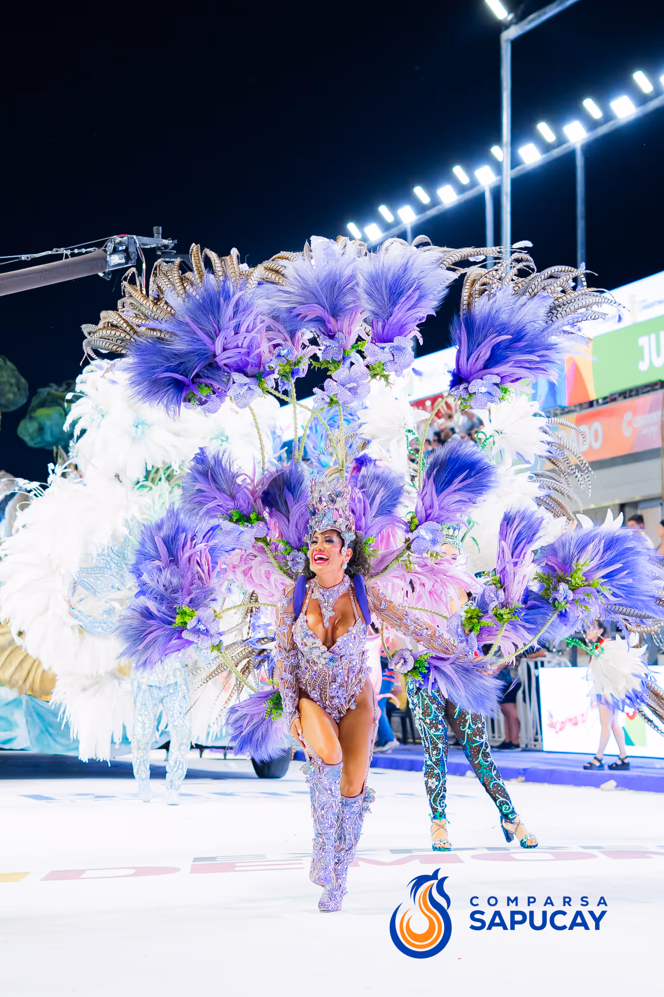 Galería de fotos del corso del Carnaval 2025