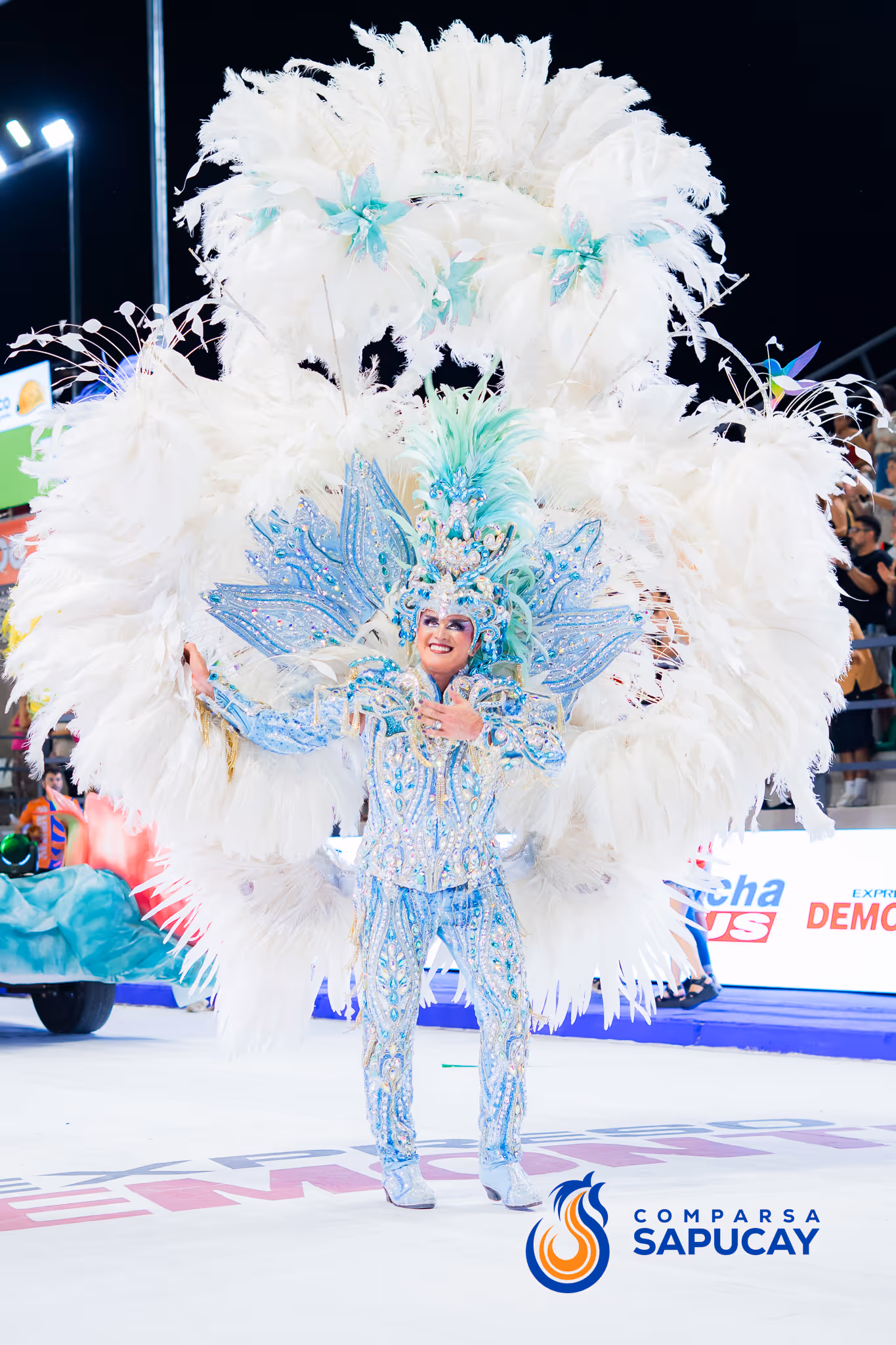 Galería de fotos del corso del Carnaval 2025