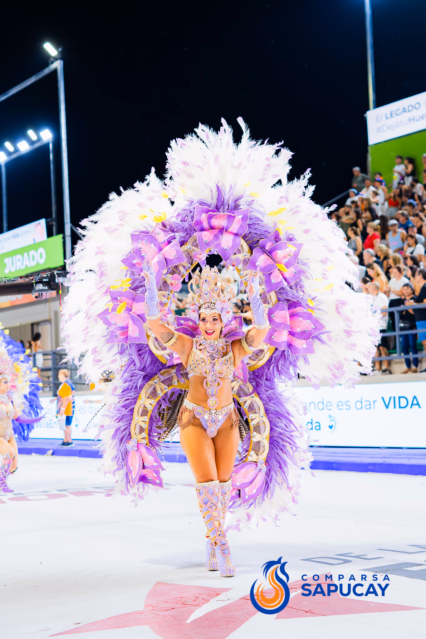Galería de fotos del corso del Carnaval 2025
