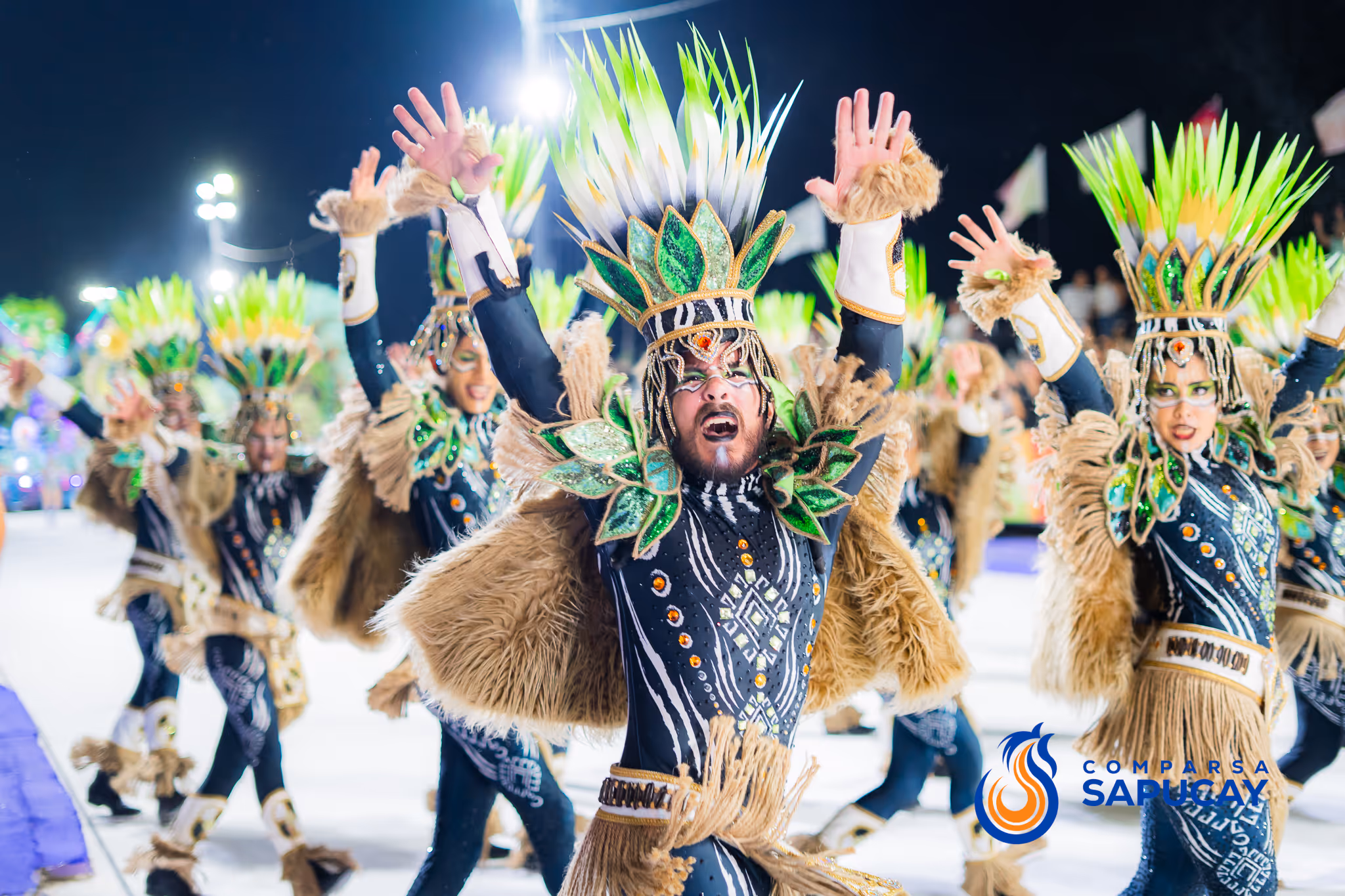 Galería de fotos del corso del Carnaval 2025