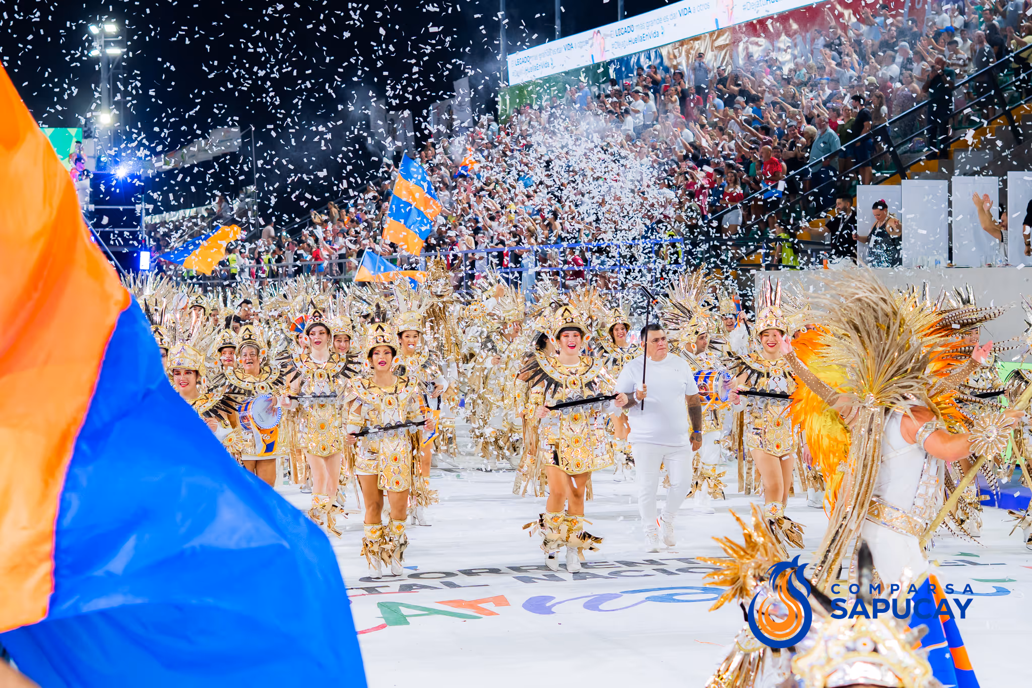 Galería de fotos del corso del Carnaval 2025