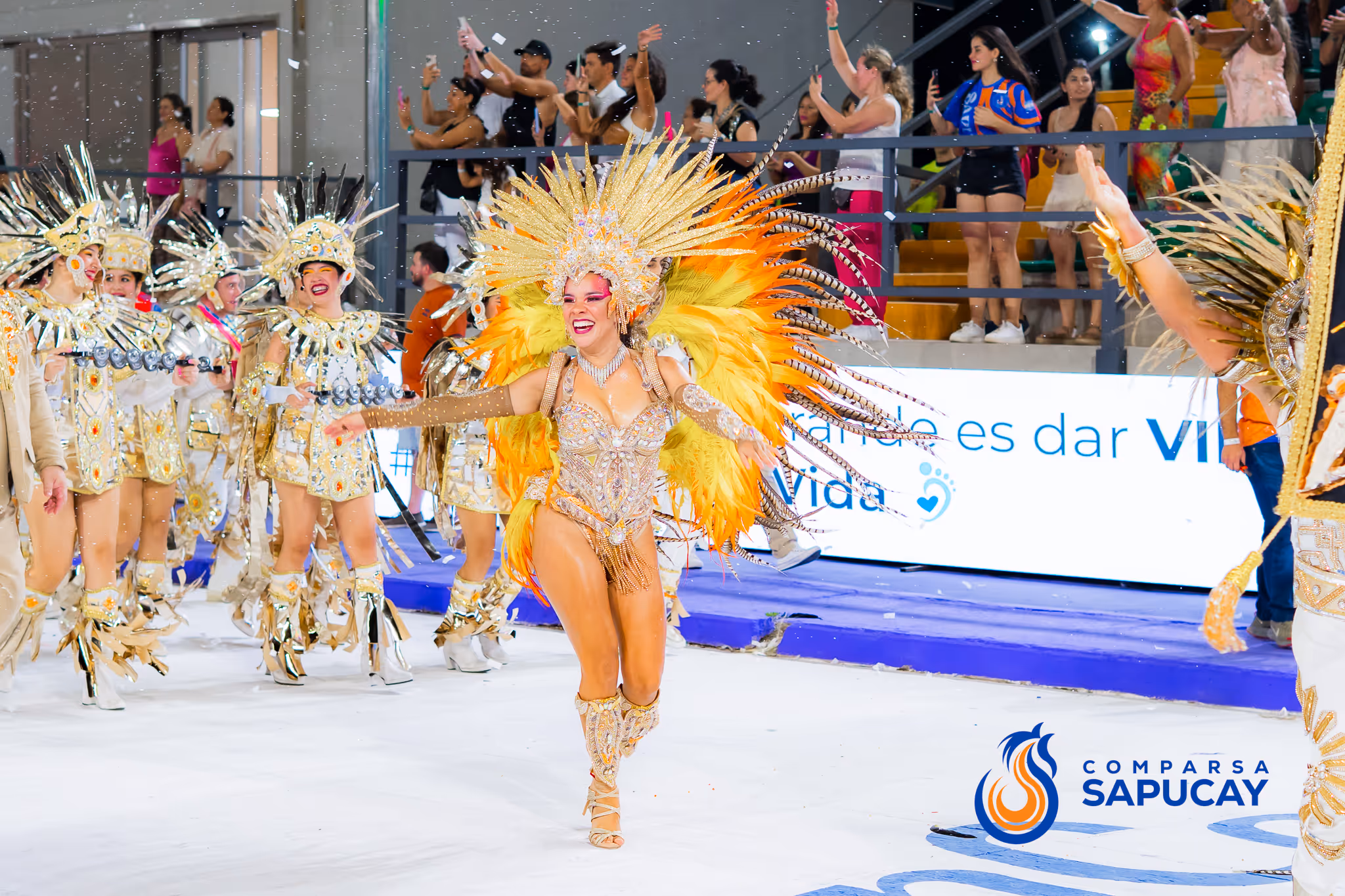 Galería de fotos del corso del Carnaval 2025